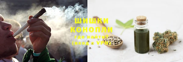 прущие грибы Семёнов
