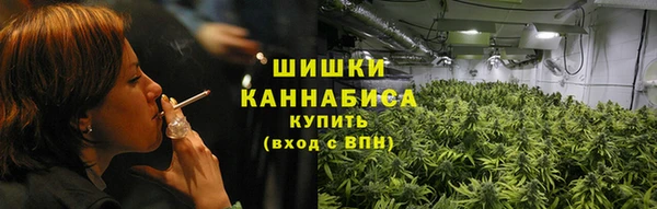 стафф Семилуки
