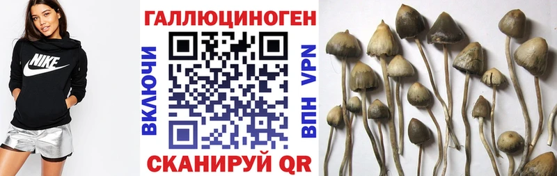 Галлюциногенные грибы GOLDEN TEACHER как найти Снежногорск